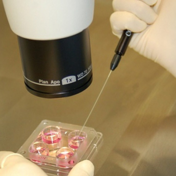 Анализы на бесплодие