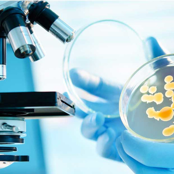 Показатели и результаты спермограммы